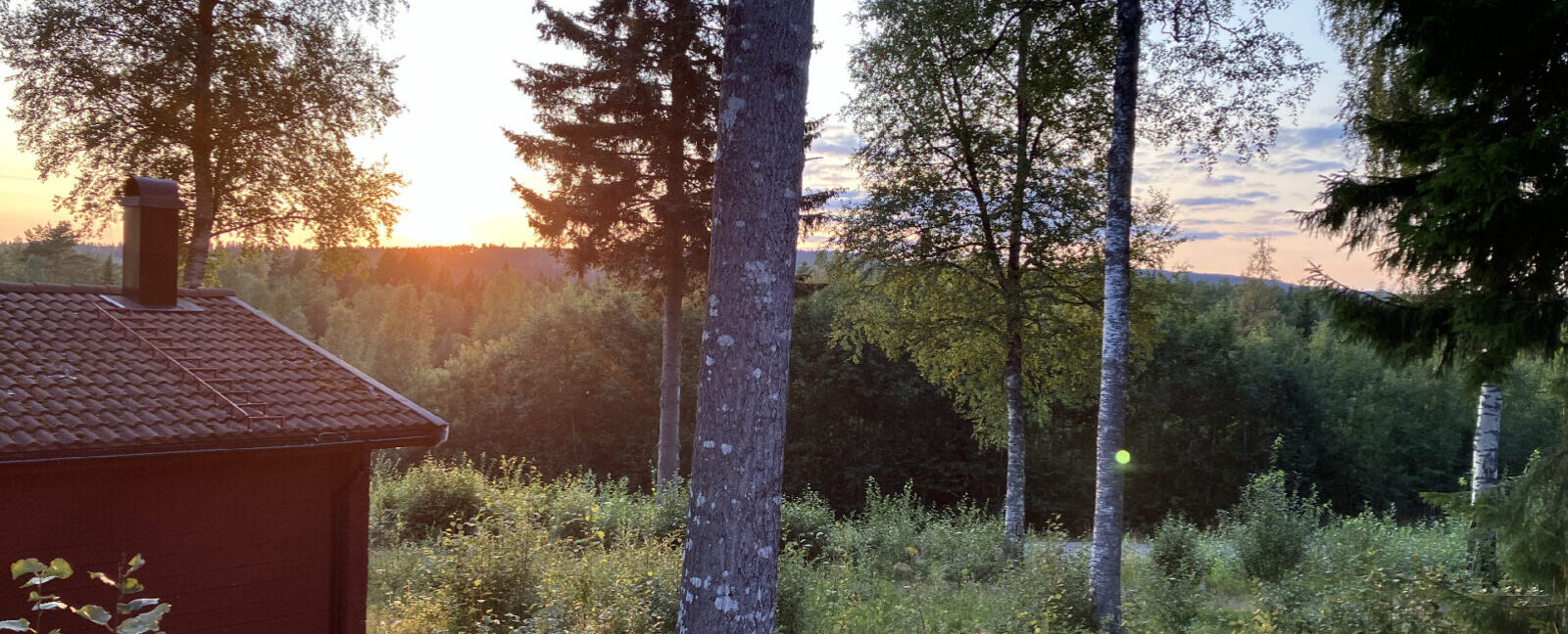 Säfsen stuga 433 Sördalen